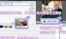 新手短视频制作爆料,揭秘爆款内容背后的制作秘籍